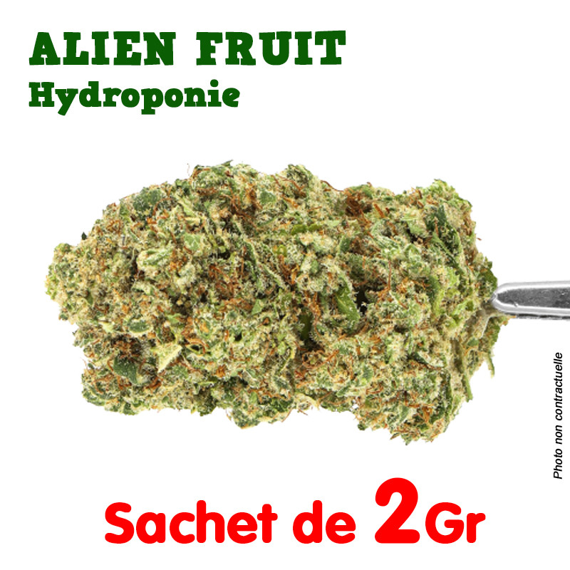 Fleur de CBD - Alien Fruit - Hydroponie