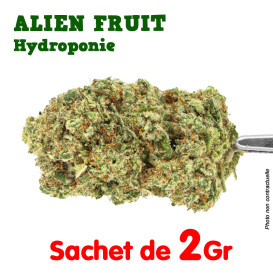 Fleur de CBD - Alien Fruit...